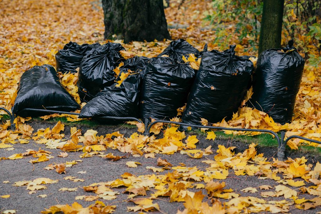 A photo of leaf clean up happening in the fall season.